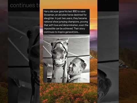 Dedicated Show Jumping Icon Graeme Watts Inspires Sporting Excellence