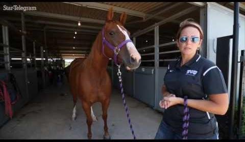 TCU Equestrian’s 2025-26 Schedule Promises Exciting Season Ahead