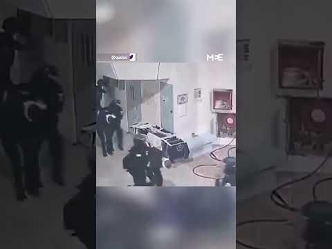 Promising Equestrian Mehdi Pouladvand Martyred in Israeli Airstrike