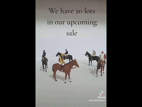 Equestrian-Auctions.Com Hybrid Auction Showcases Future Stars in Bonheiden