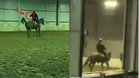 Equestrian Australia Suspends Olympian for Horse Whipping Incident