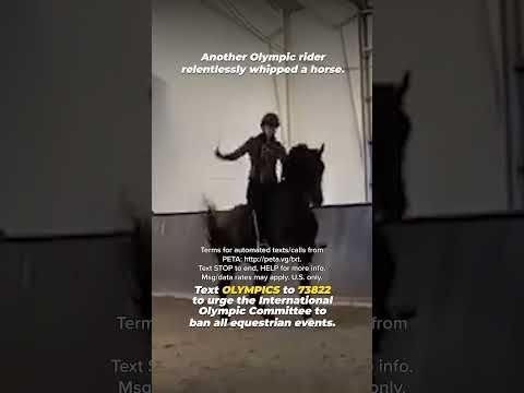 Equestrian Australia Suspends Olympic Rider Over Horse Treatment Controversy