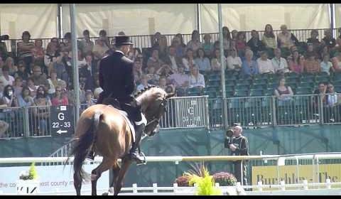 Bill Levett Replaces Shane Rose in Australian Eventing Team