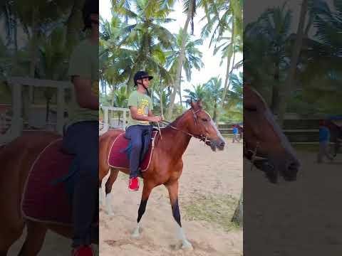 Valencia County’s Young Riders Embrace Western and English Riding
