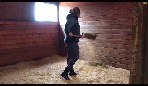 Discover the Timeless Appeal of Ariat Paddock Boots