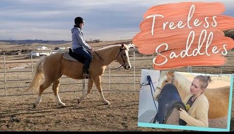 Exploring Tree-less Horse Saddles: Comfort and Connection Unleashed