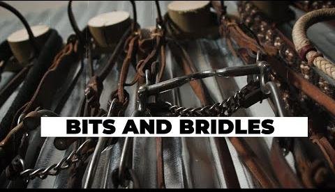 Red Buckstitch Headstall: Western Elegance for Serious Riders