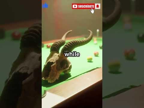 Cowboy Plays Pool on Horseback in Texas Bar Stuns Viewers