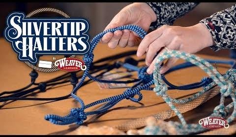 Choosing the Best Rope Halter for Effective Horse Training